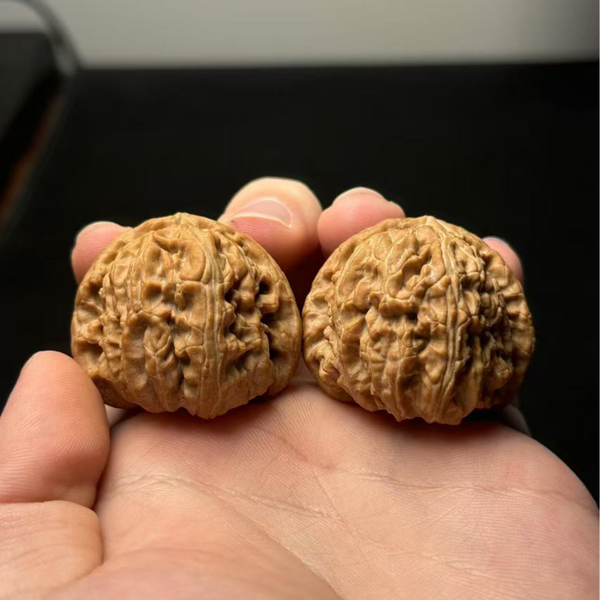 文玩核桃把件白狮子