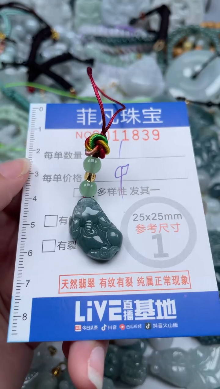 颈饰未镶嵌翡翠11839