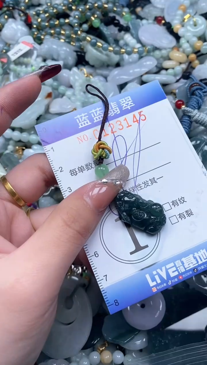 【闪购商品】翡翠颈饰未镶嵌闪购0123145多样性发其一