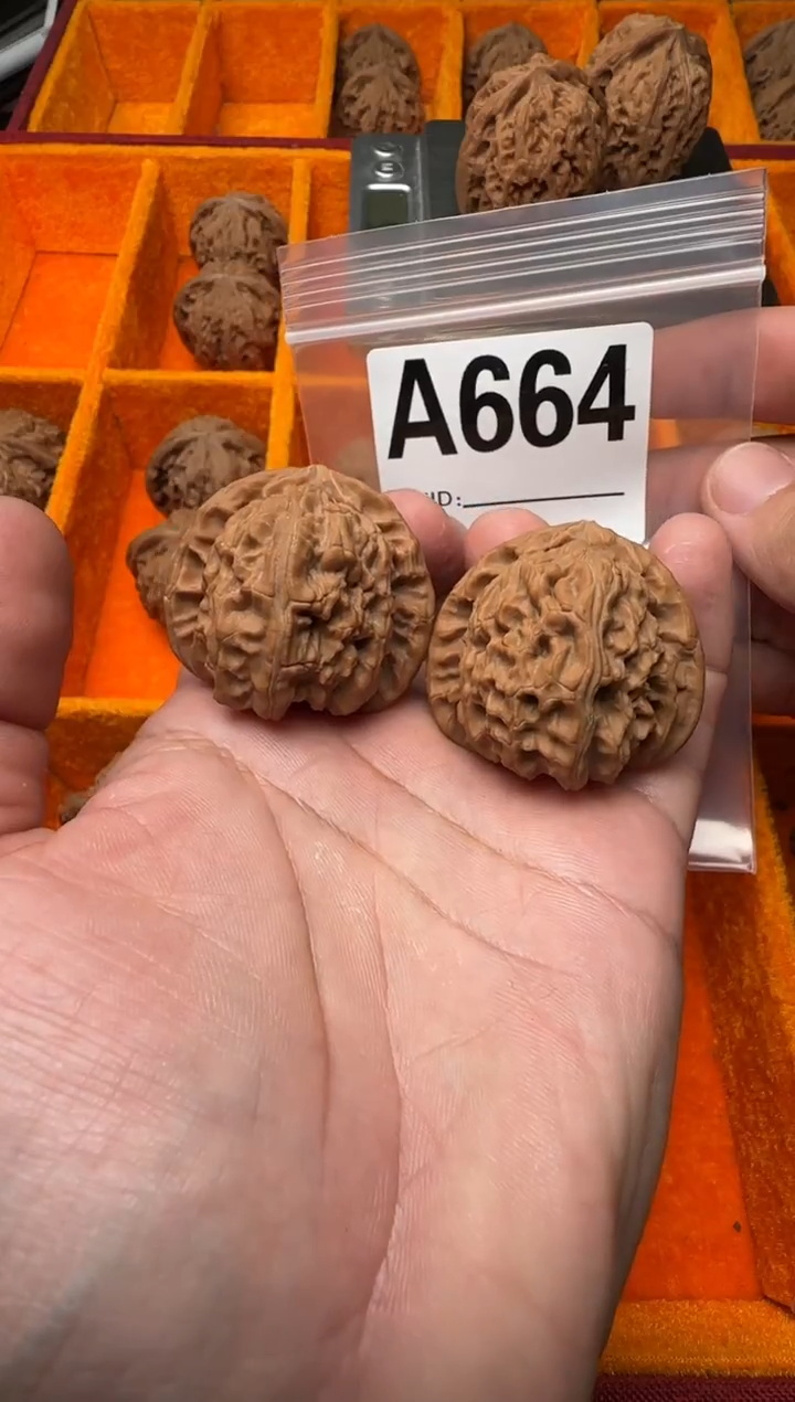 吊坠文玩核桃白狮子39-A664