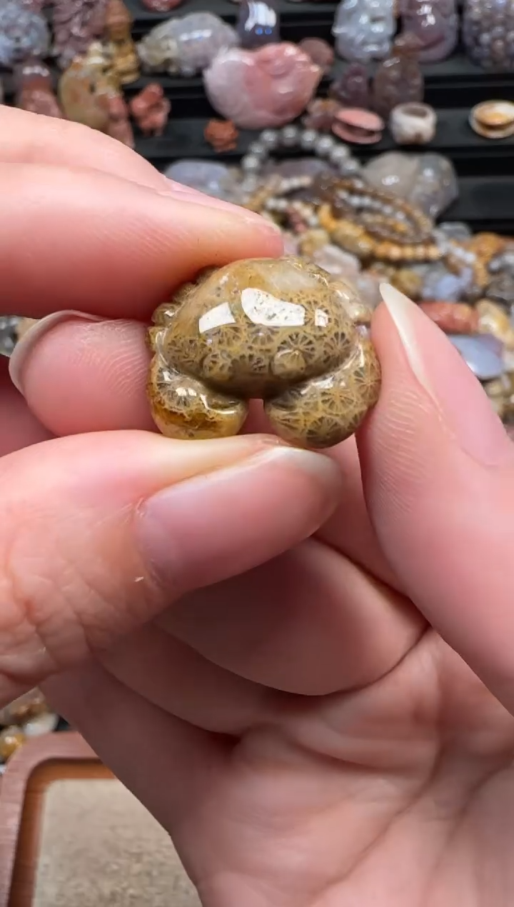 颈饰未镶嵌硅化珊瑚（珊瑚玉）036