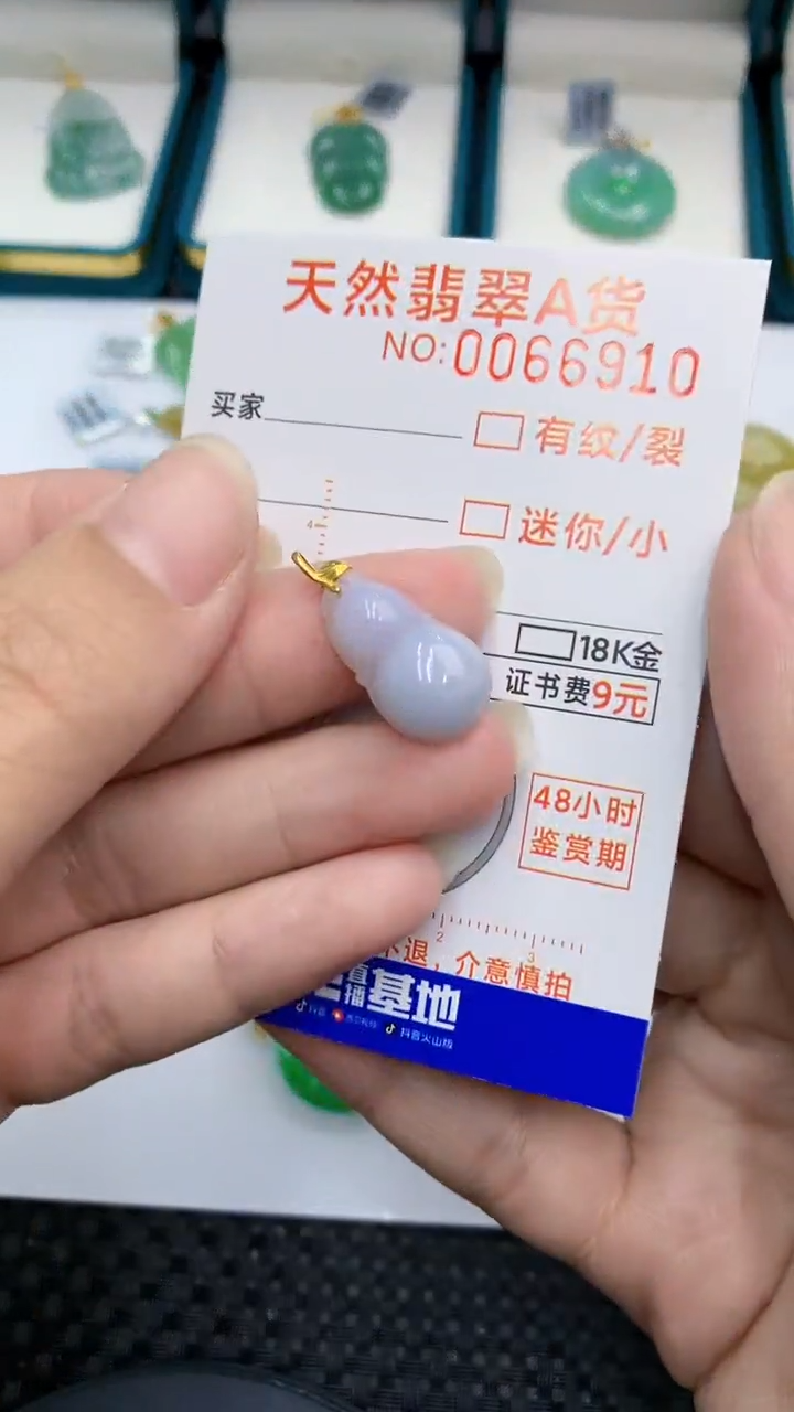 【闪购商品】翡翠颈饰18K金镶嵌            8