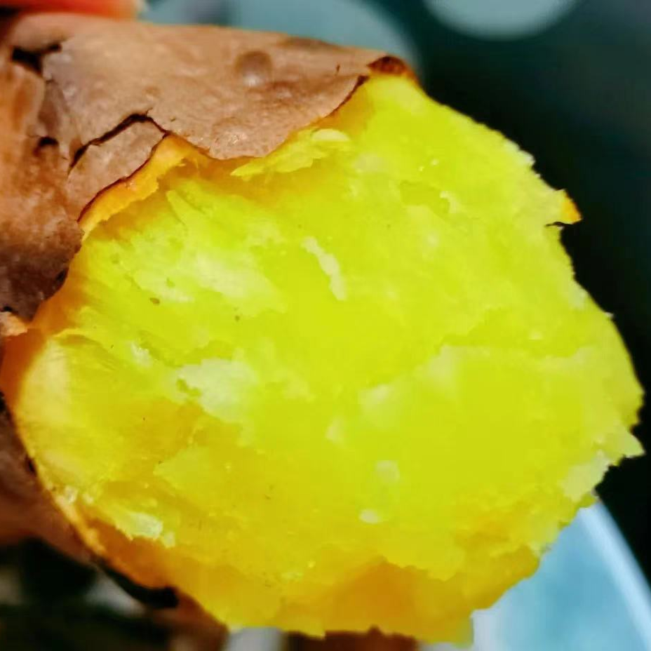 正宗黄心糖心冰激凌红薯新鲜现挖超甜软糯流油地瓜番薯
