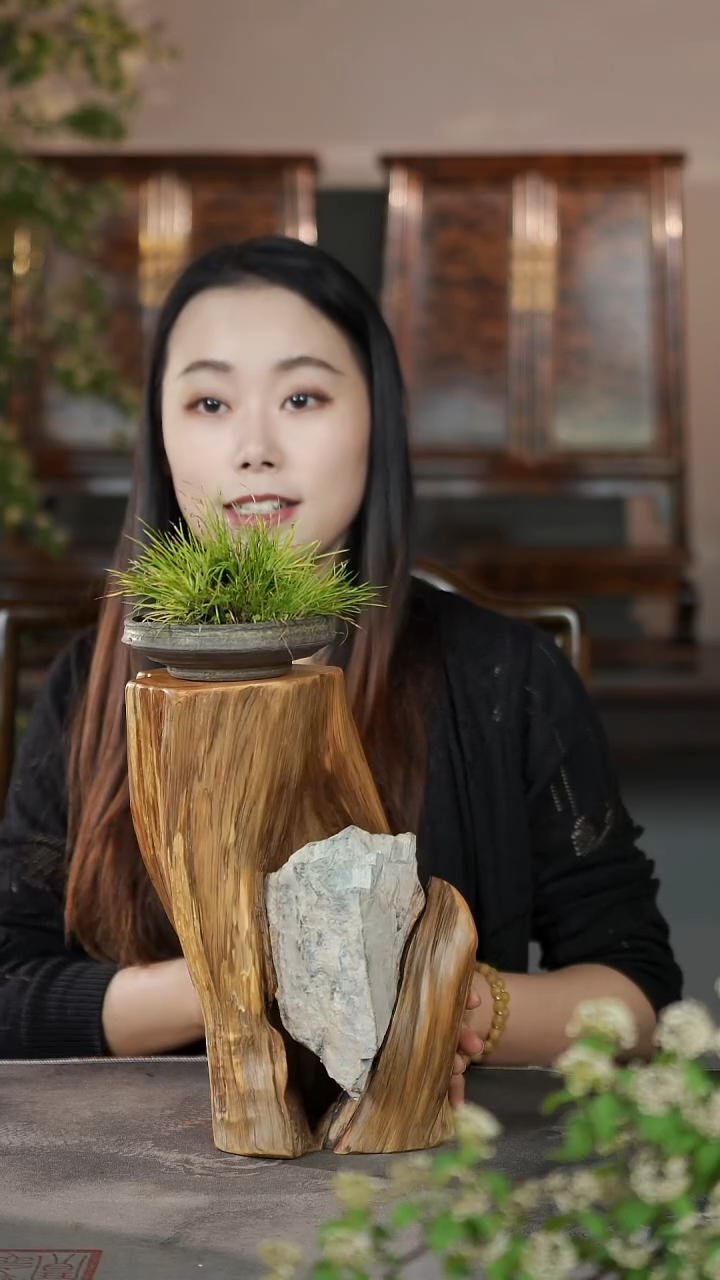 柏木（崖柏）淳化黑油根抱石摆台