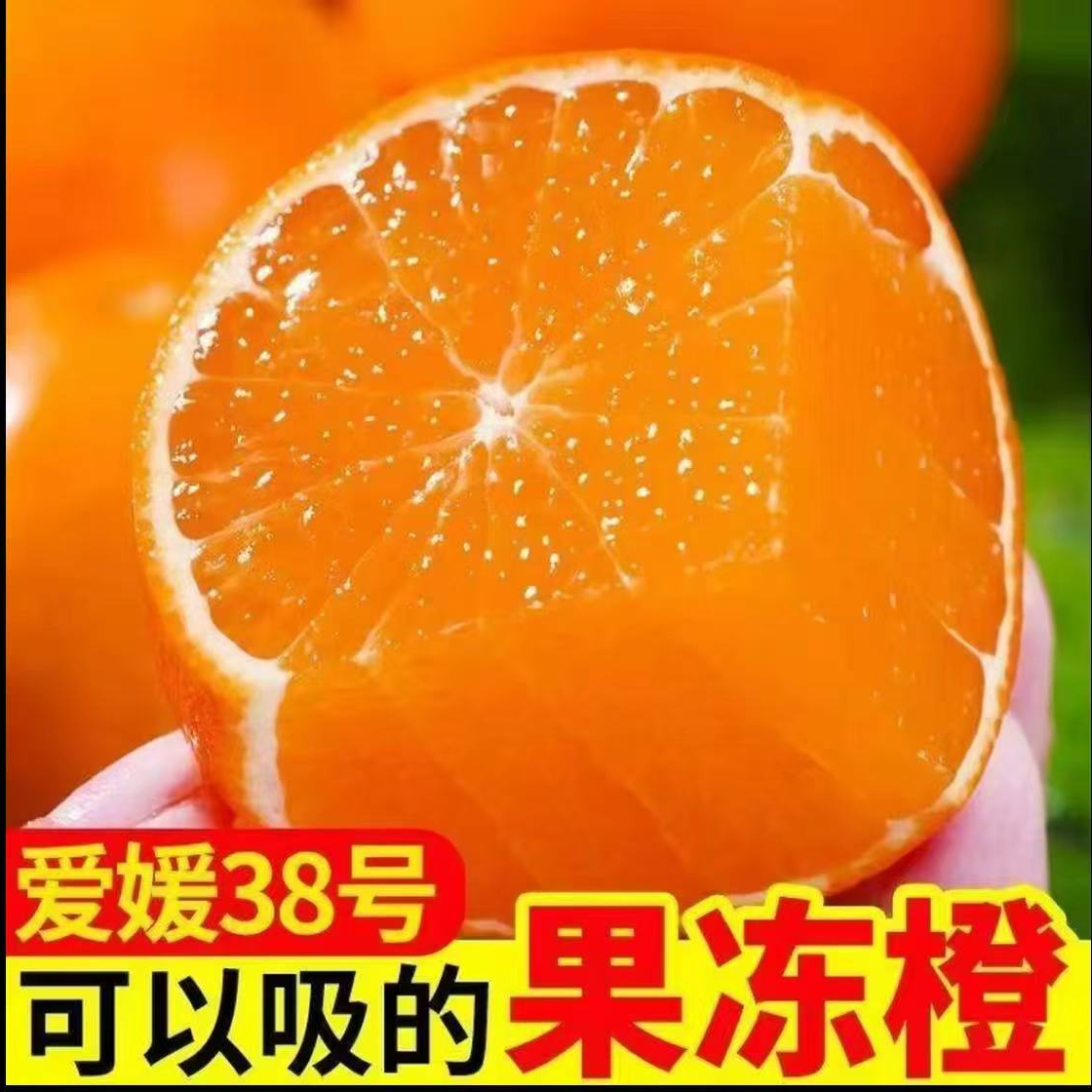 四川核心产区（树上熟）爱媛38号果冻橙现摘爆甜多汁