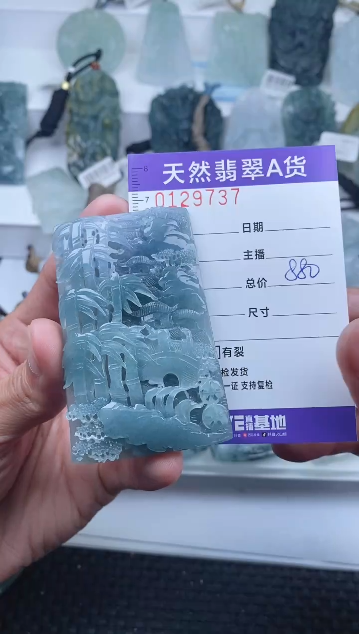 【闪购商品】翡翠颈饰未镶嵌         737