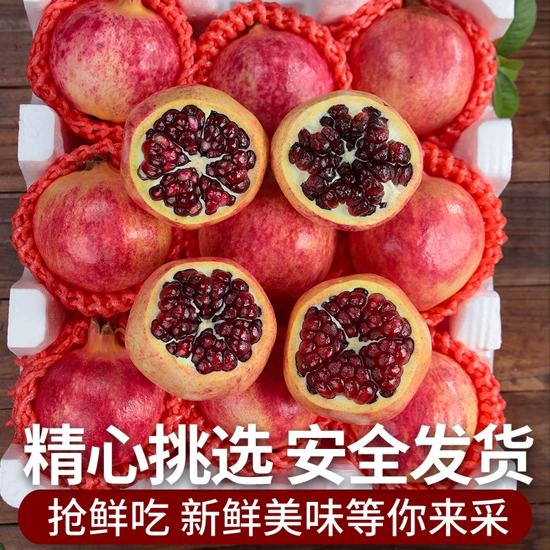 正宗会理突尼斯软籽石榴5/8斤爆甜多汁应季水果会理/成都两仓发
