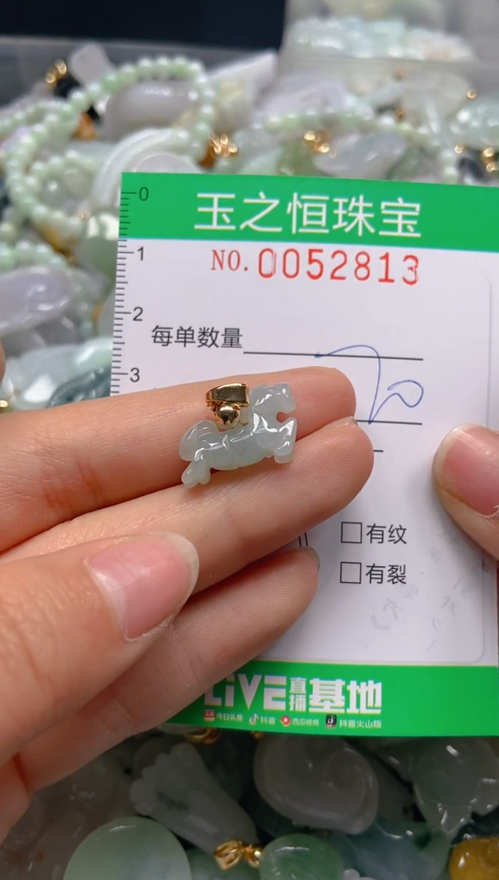 【闪购商品】翡翠颈饰未镶嵌闪购0052813