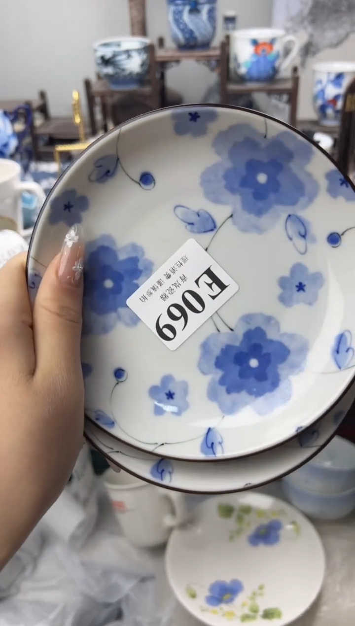 瓷片?****?    E069