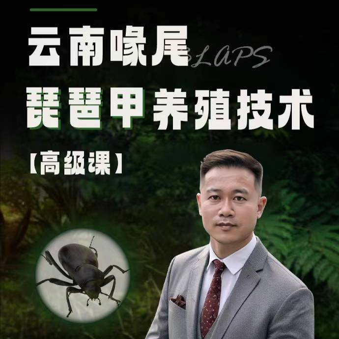 云南喙尾琵琶甲养殖技术【高级课】杨金忠著（留意短信解锁课程）