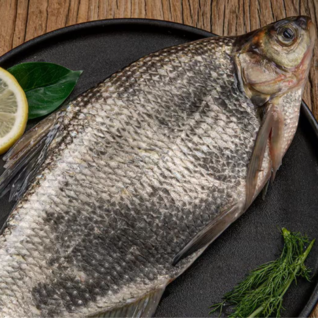 【鳊鱼】上街弟海鲜  肉质鲜 新鲜 福州发货