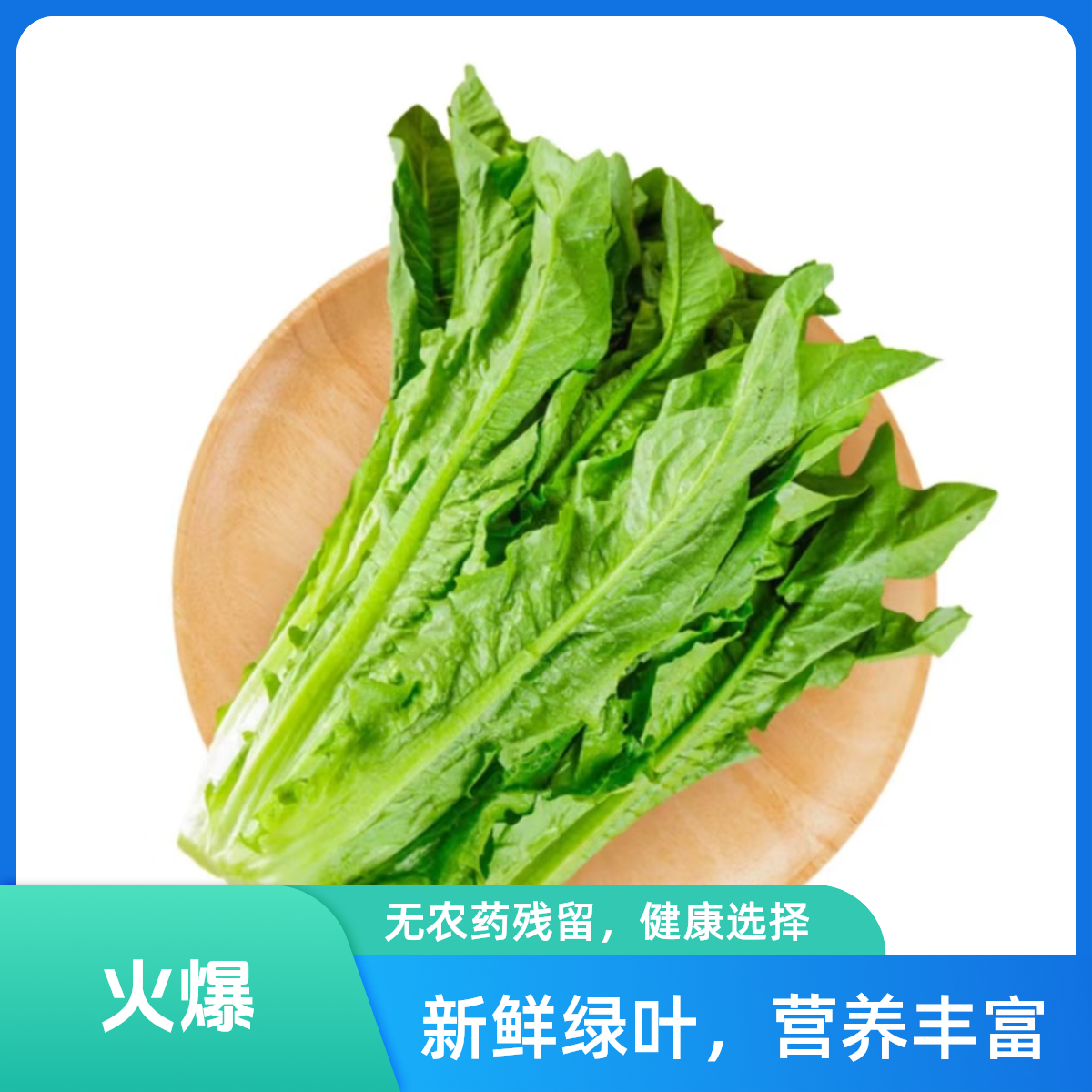 油麦菜 约450g-500g
