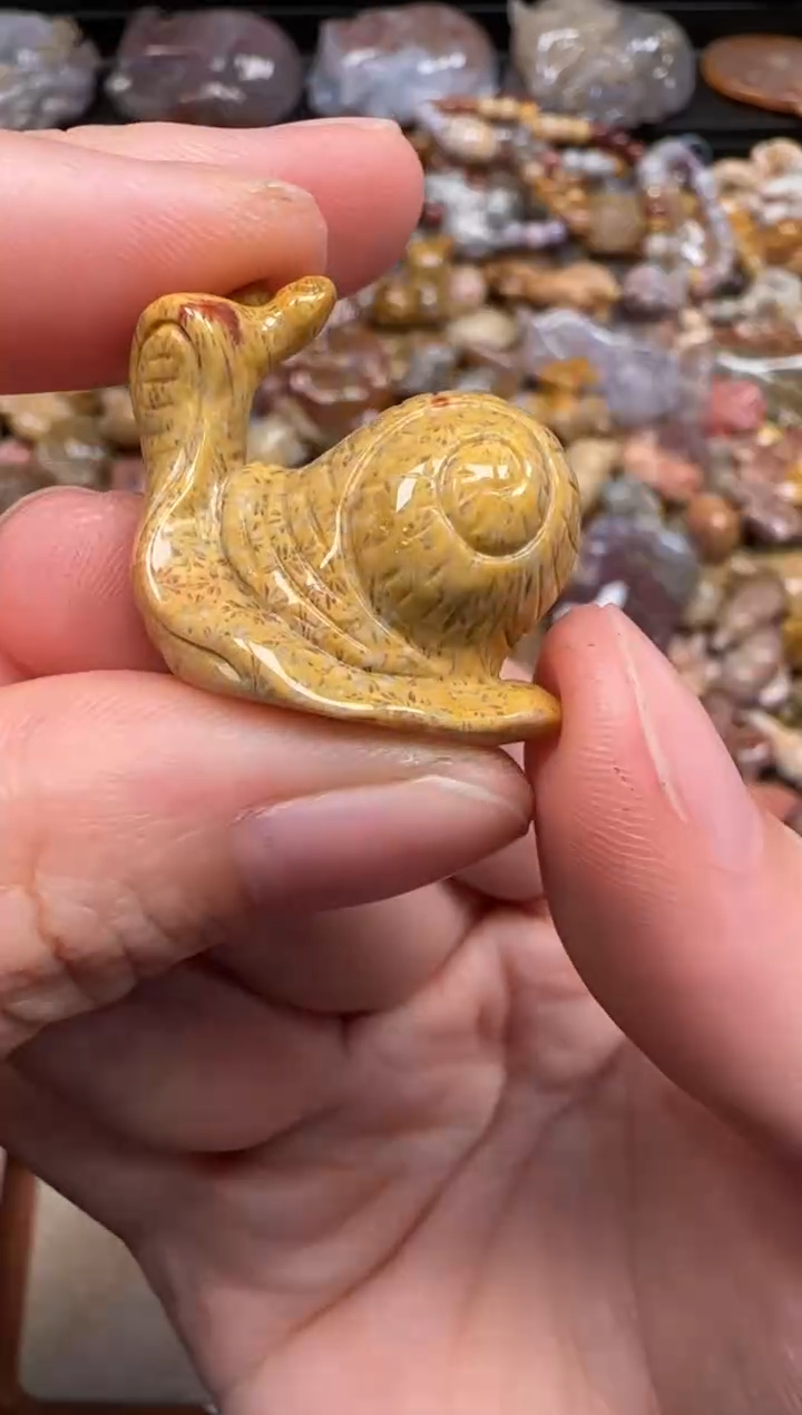 硅化珊瑚（珊瑚玉）未镶嵌颈饰361