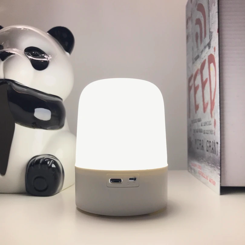 【丽煌灯饰】松弛感LED光控遥控小夜灯充电无线氛围灯