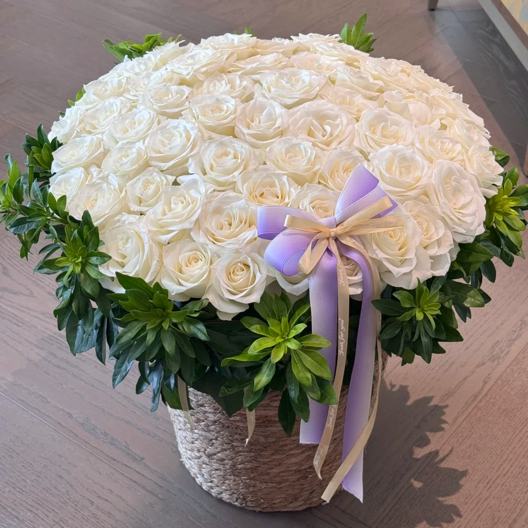 【骄傲】单头玫瑰，0度以下未拍保温棉冻伤不售后