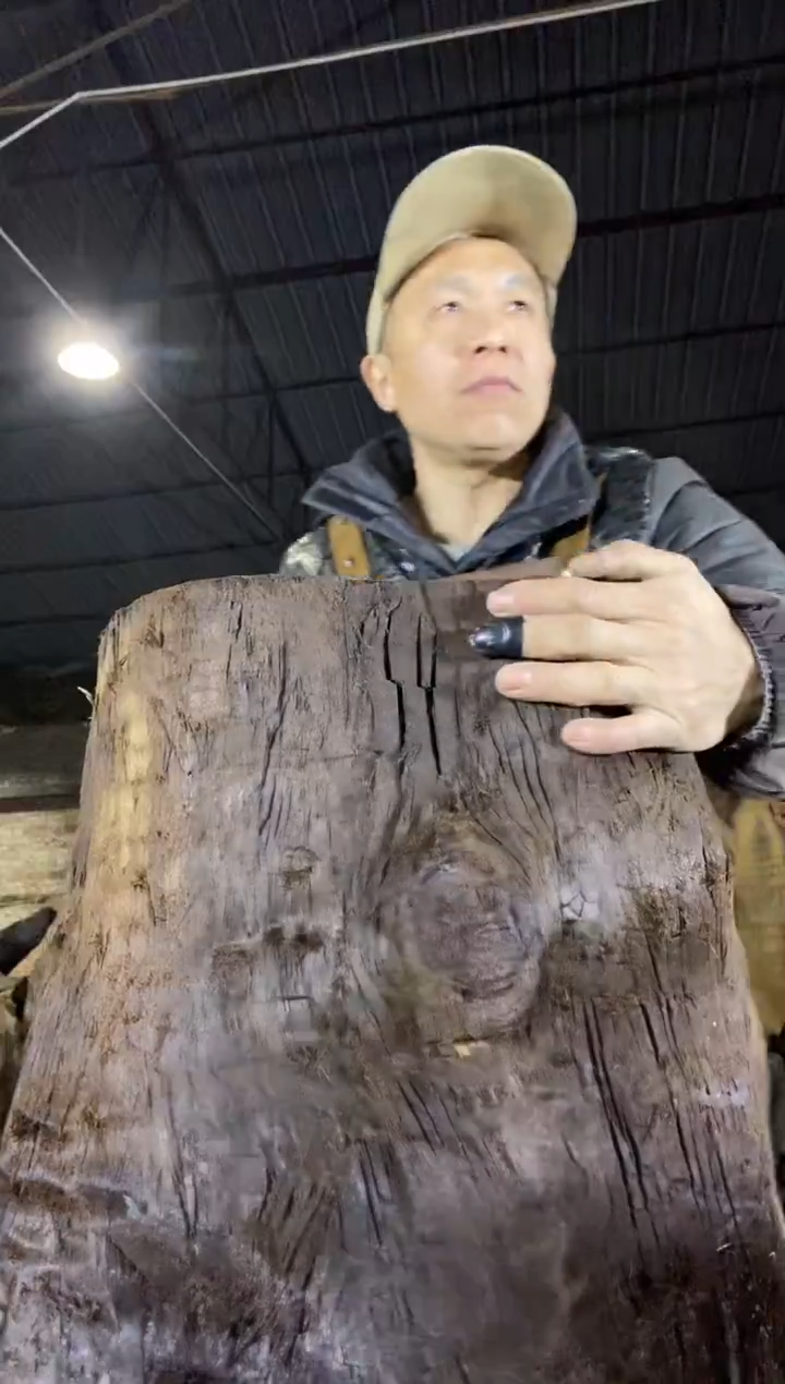 其他楠木（金丝楠）金丝楠小叶桢楠13