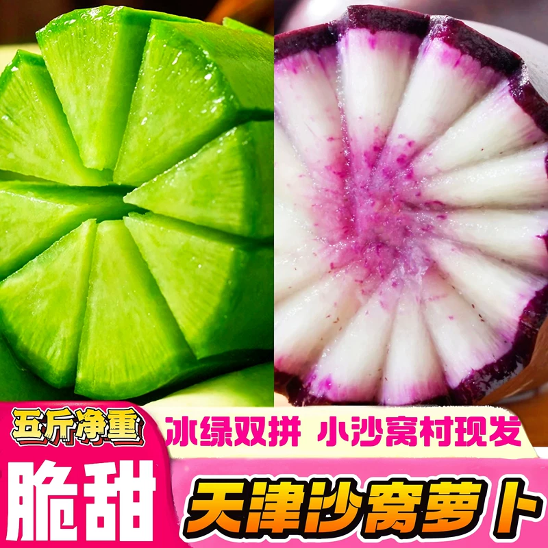 正宗天津辛口镇沙窝萝卜冰淇淋水果萝卜天星02号萝卜新鲜美味口感脆甜鲜嫩多汁原产地发货混搭