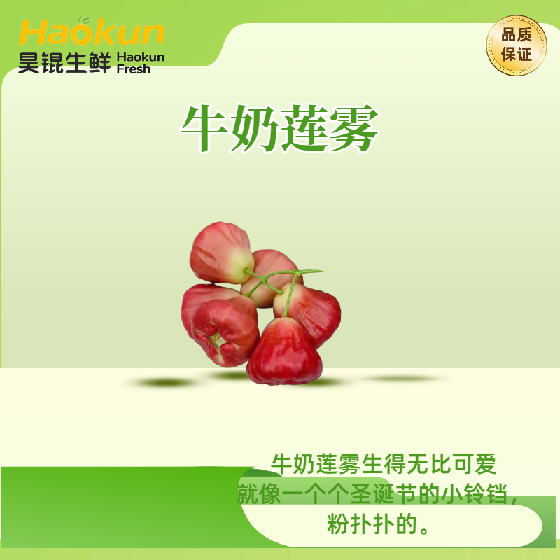 昊锟生鲜牛奶莲雾礼盒装小果