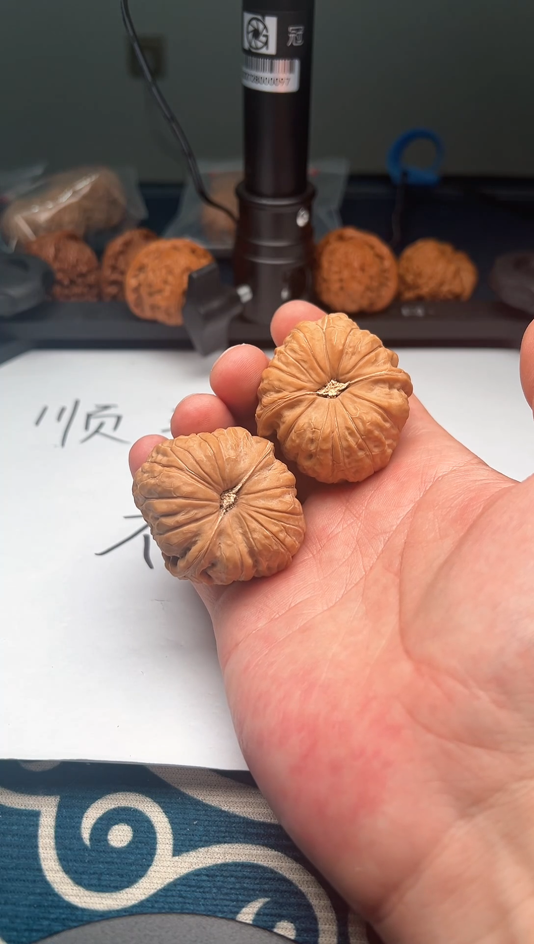 0429-文玩核桃-南瓜墩- 蓉^O^鹄