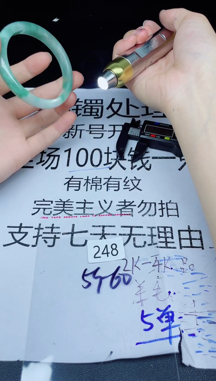 未镶嵌手镯翡翠248