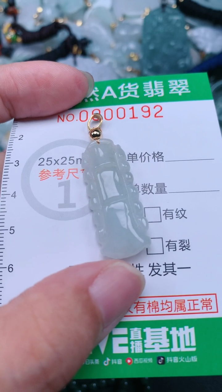 翡翠未镶嵌颈饰.0000192