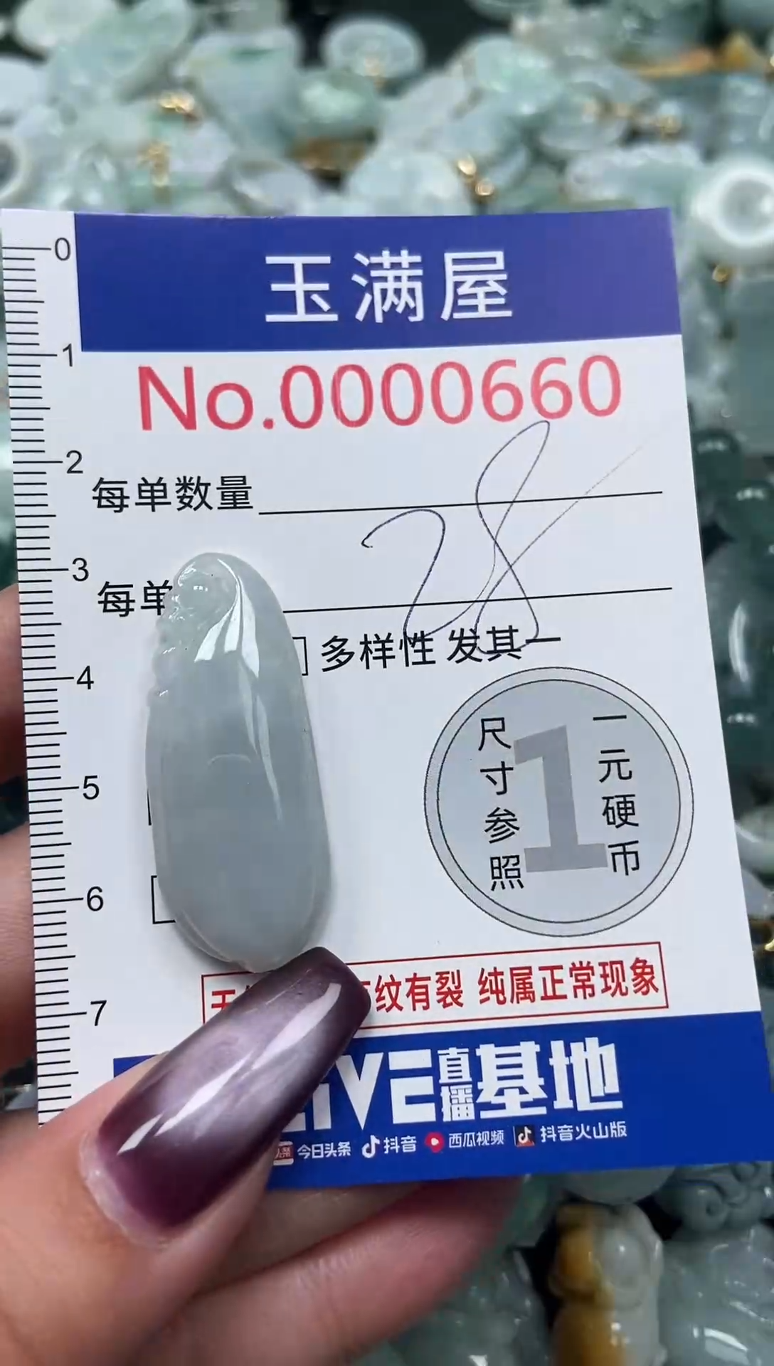 颈饰未镶嵌翡翠660