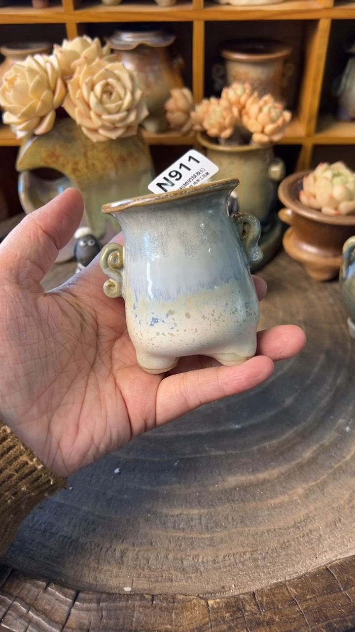 七*姐911【多肉花盆多肉盆】