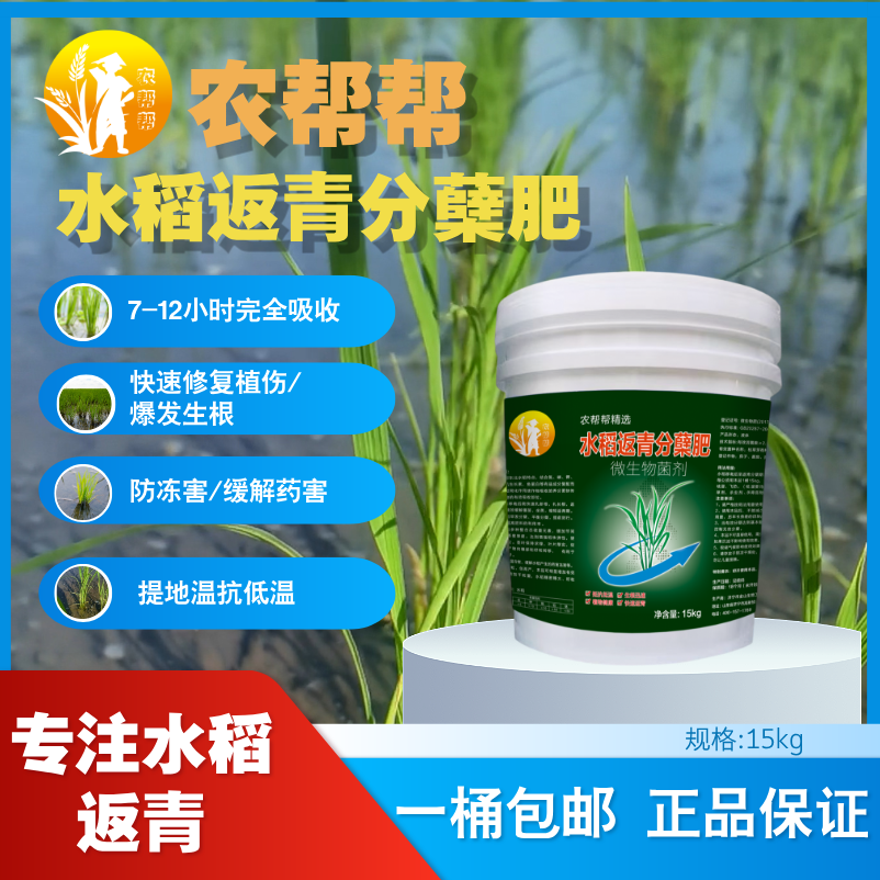 【农邦邦】水稻返青分蘖肥，当天见效爆炸生根