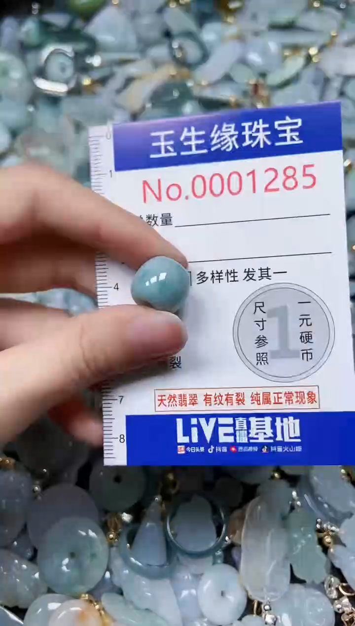 【闪购商品】翡翠颈饰未镶嵌闪购00001285