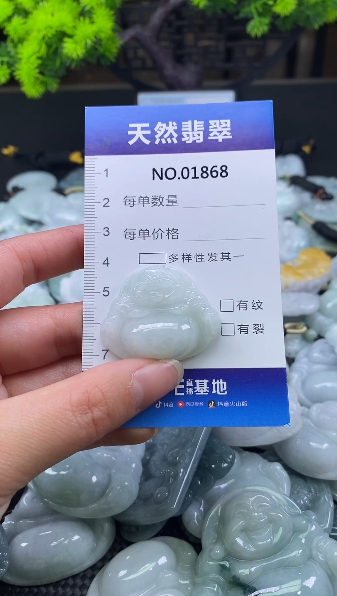 颈饰未镶嵌翡翠天然缅甸翡翠1868