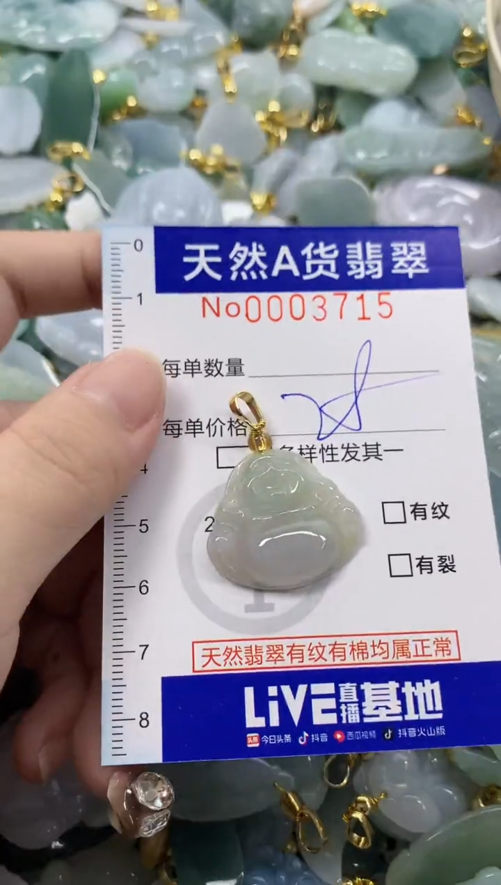 颈饰未镶嵌翡翠天然A货翡翠