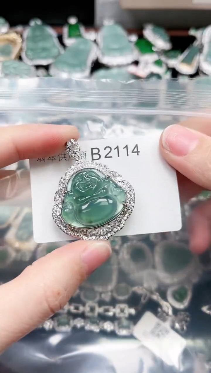 【闪购商品】翡翠颈饰未镶嵌赠皮绳2114