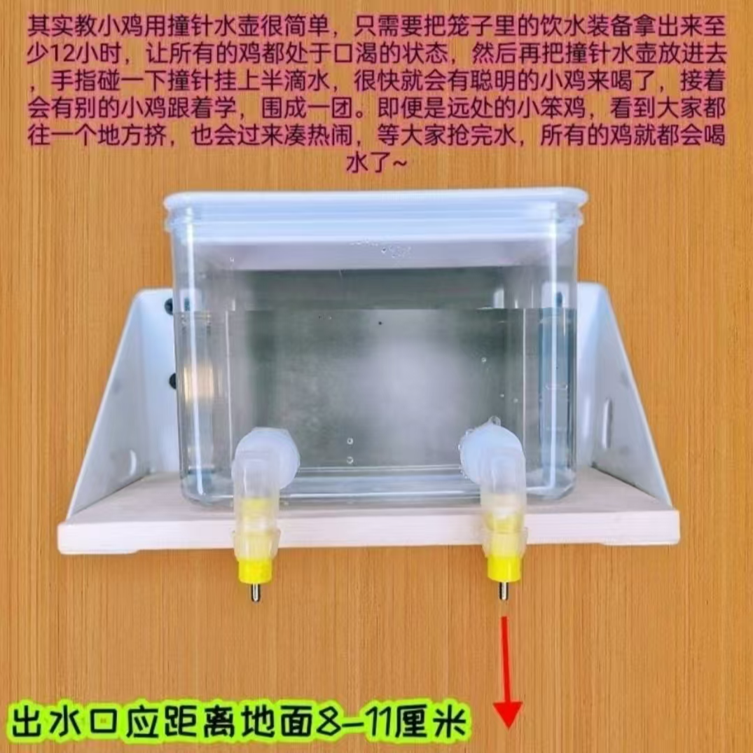 芦丁鸡宠物水壶撞针水壶干净好看宠物水壶家用