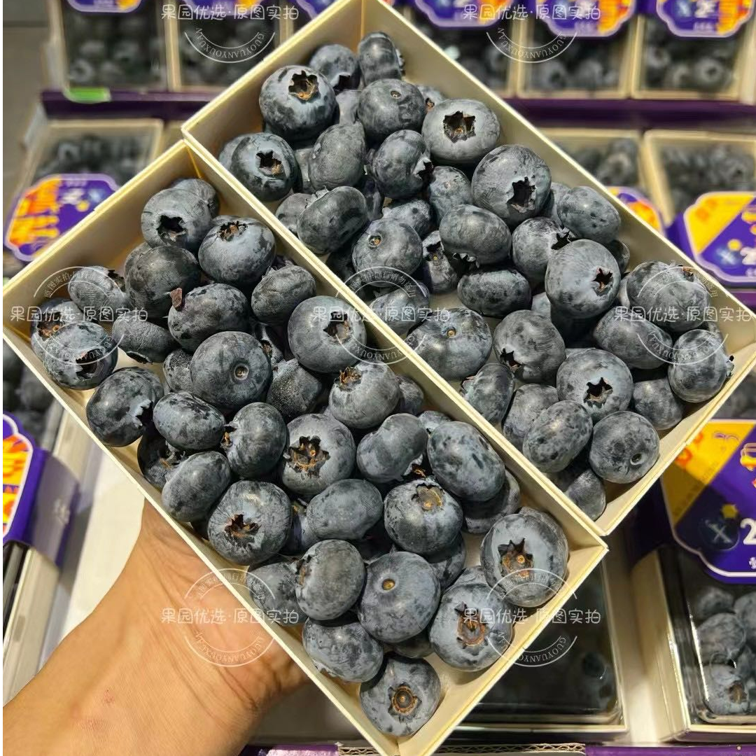 云南壹号莓花香蓝莓18mm+云南省