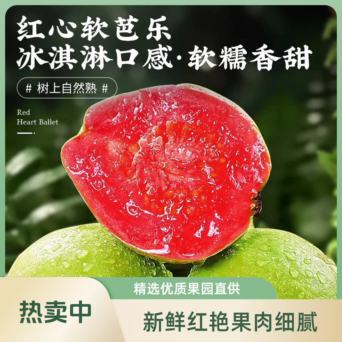 【顺丰次日达】A货红心芭乐西瓜芭乐草莓芭乐软糯新鲜当季水果