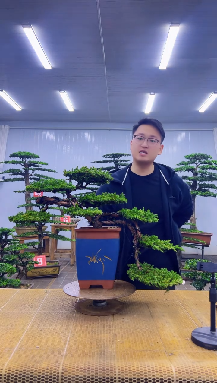 无花朵清*心0000000000000000