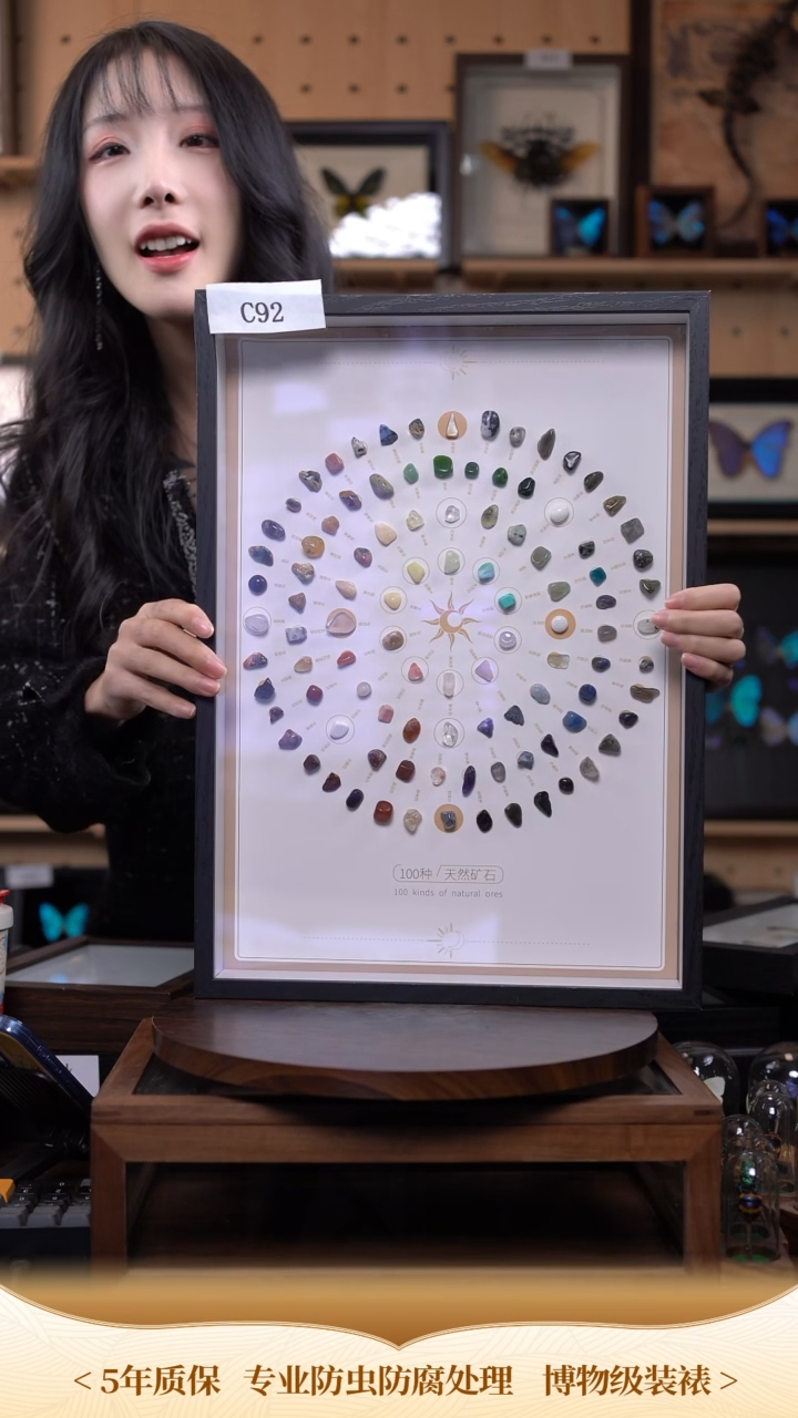 蝴蝶标本摆件竞拍c92