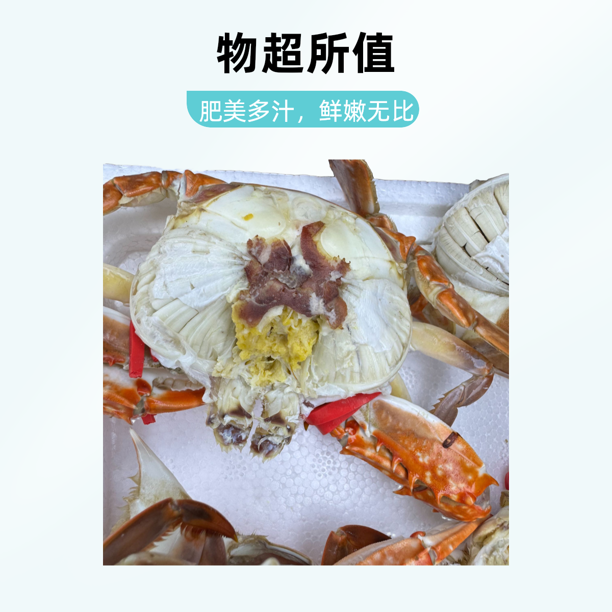 莱州湾梭子蟹花脐单只3两以上3斤起【保鲜不保活】