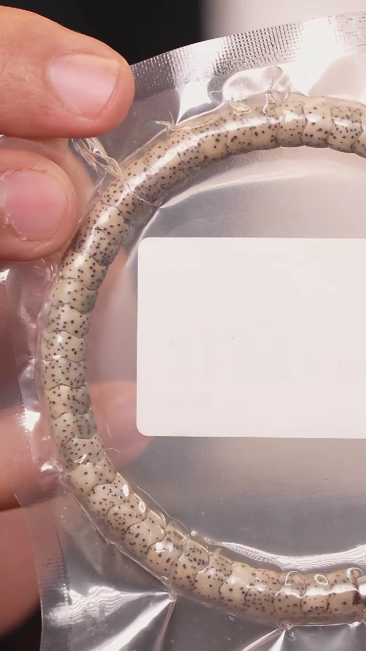 手串星月菩提D8904手工龙骨星月菩提手串磁吸扣7.3mm左右