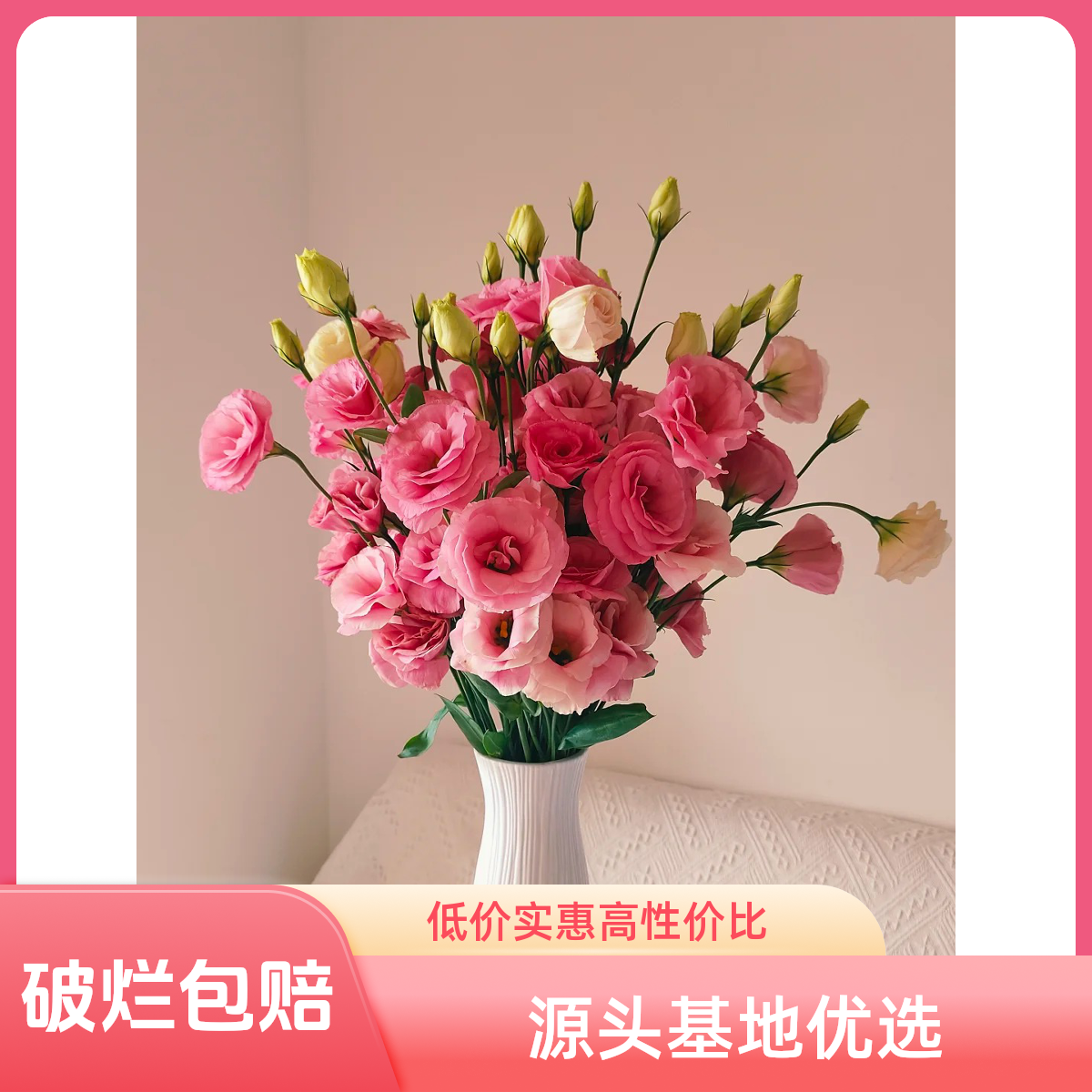 南沐雯·【粉色洋桔梗鲜花】鲜花由斗南基地云南昆明基地直发包邮