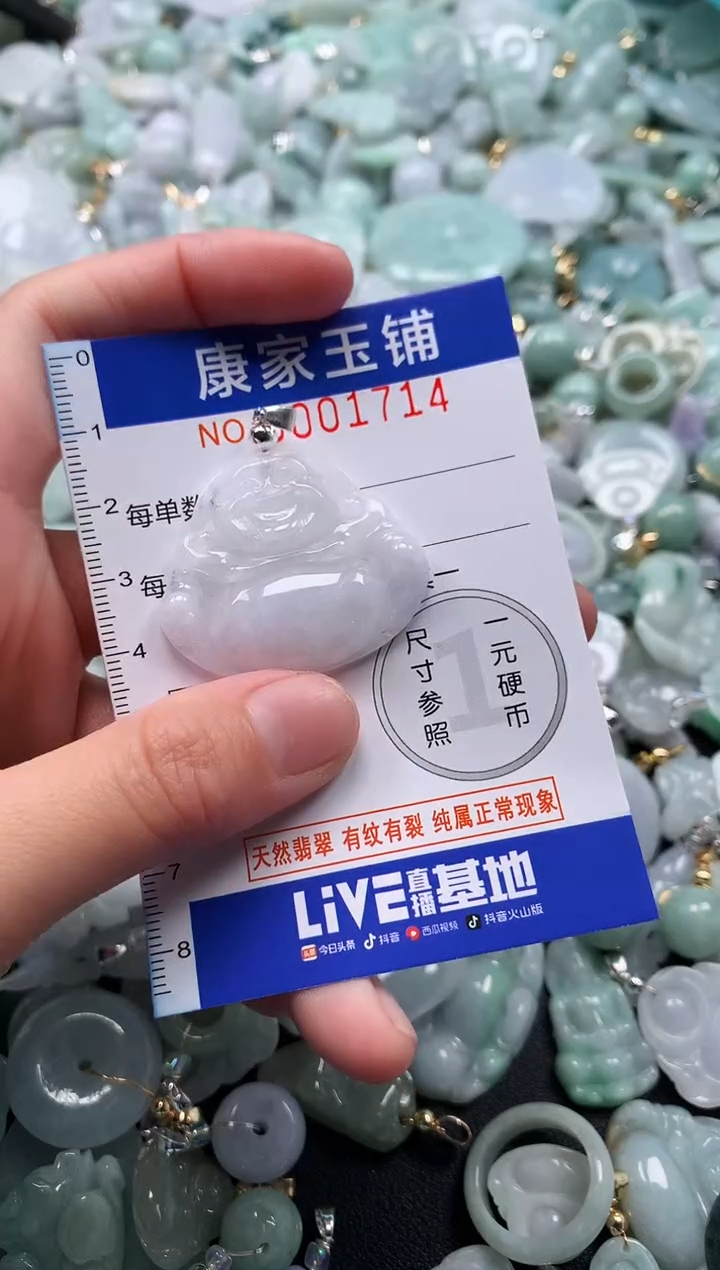 颈饰未镶嵌翡翠1714