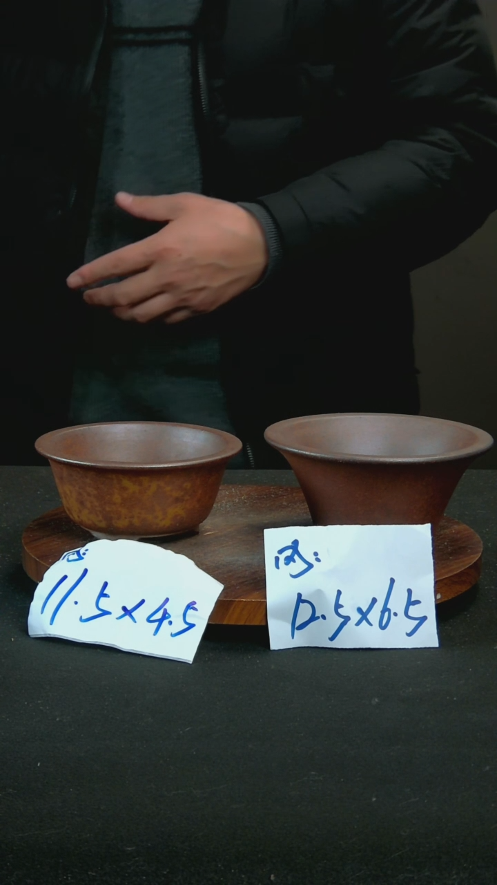 【闪购商品】紫砂P17