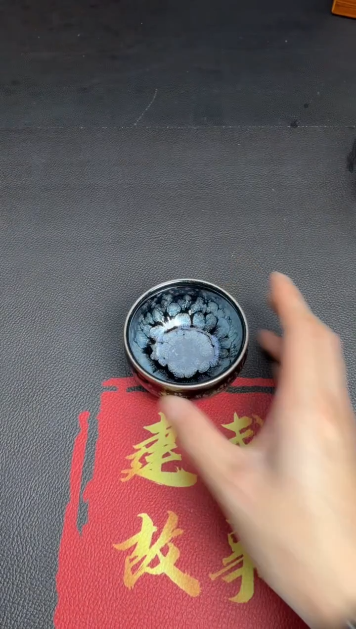茶盏阙梅娇黑牡丹100