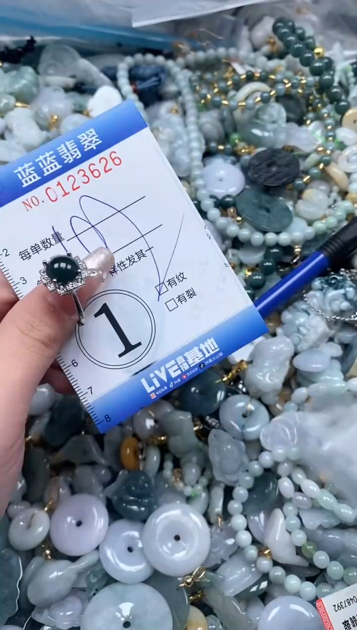 【闪购商品】翡翠颈饰未镶嵌闪购0123626