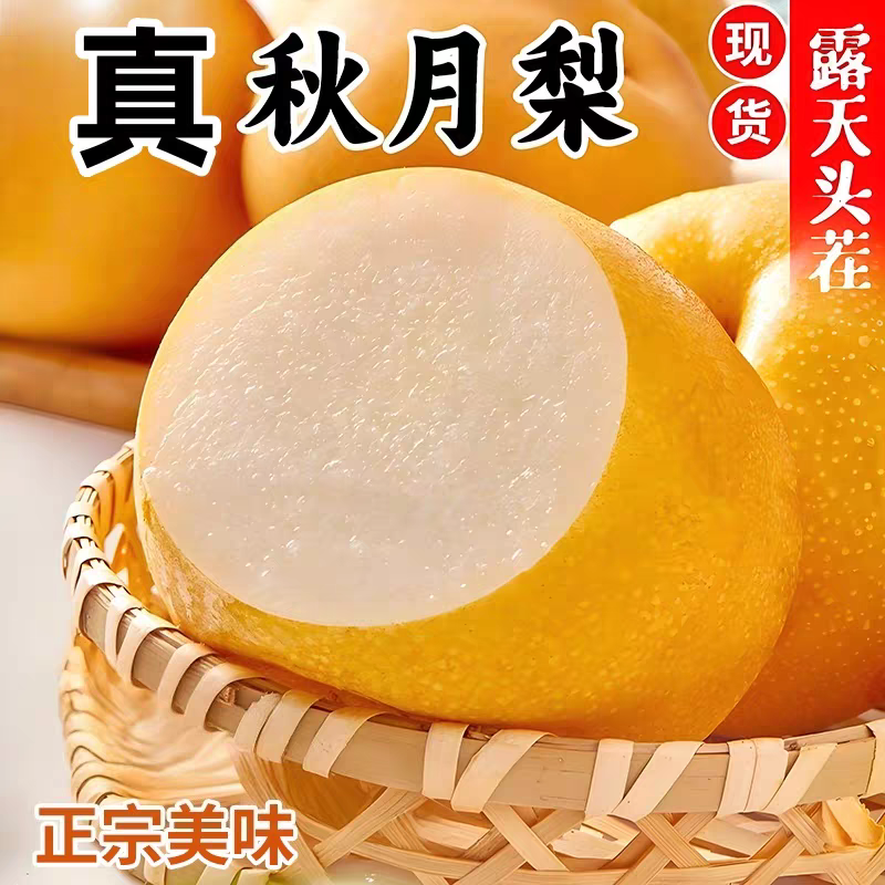 2025正宗山东秋月梨新鲜应季水果皮薄脆甜多汁现摘现发