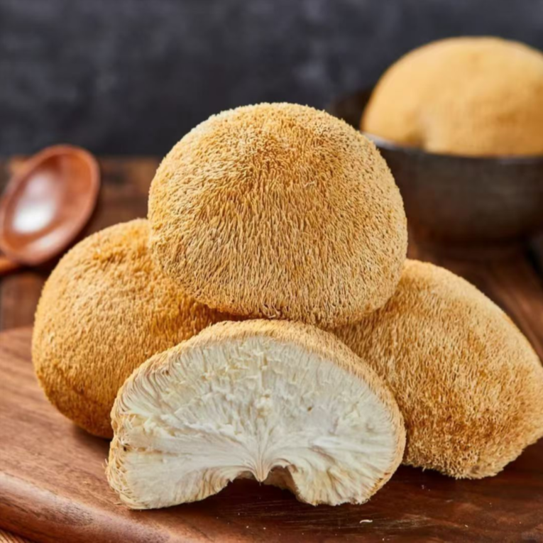 刘明推荐----猴头菇