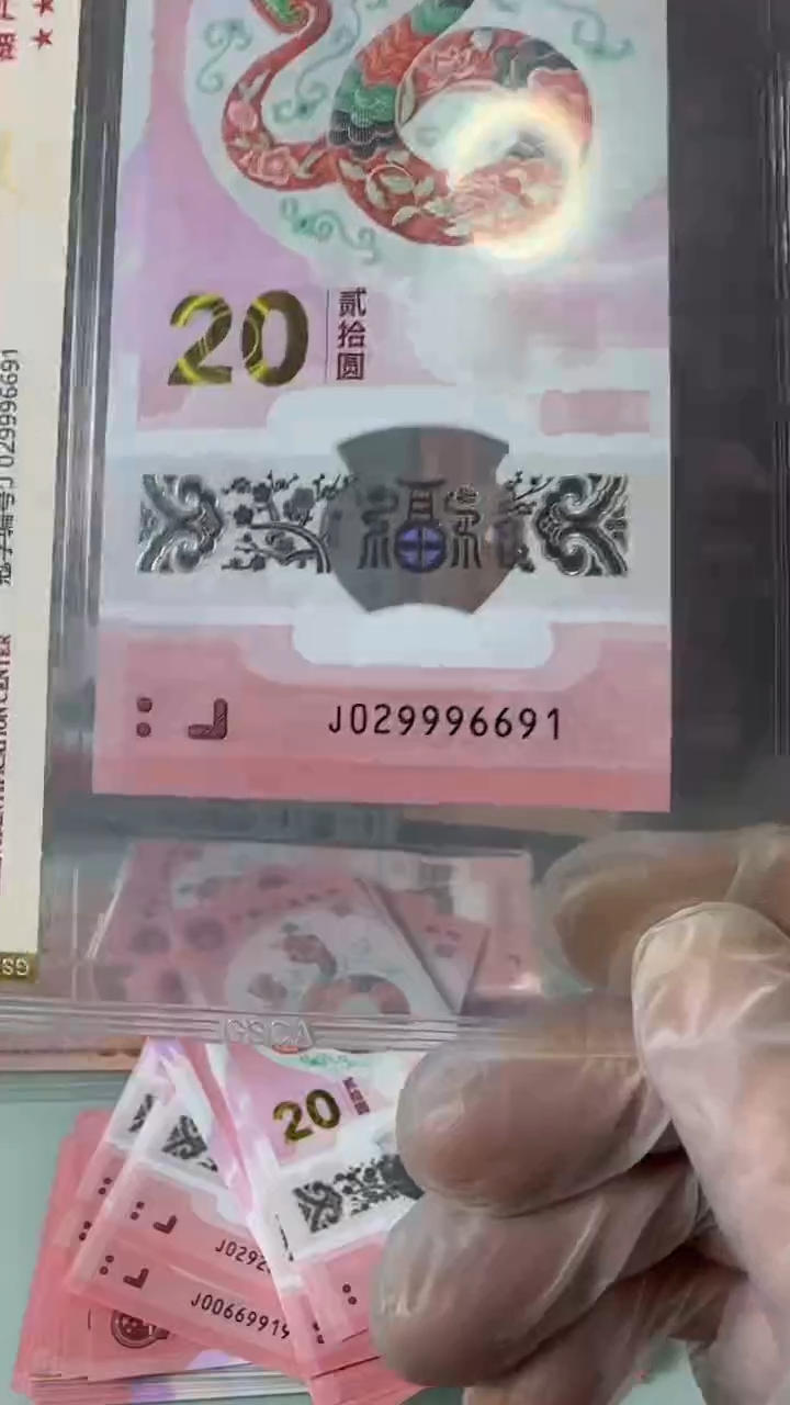 【闪购商品】塑料029996691-蛇钞单张！