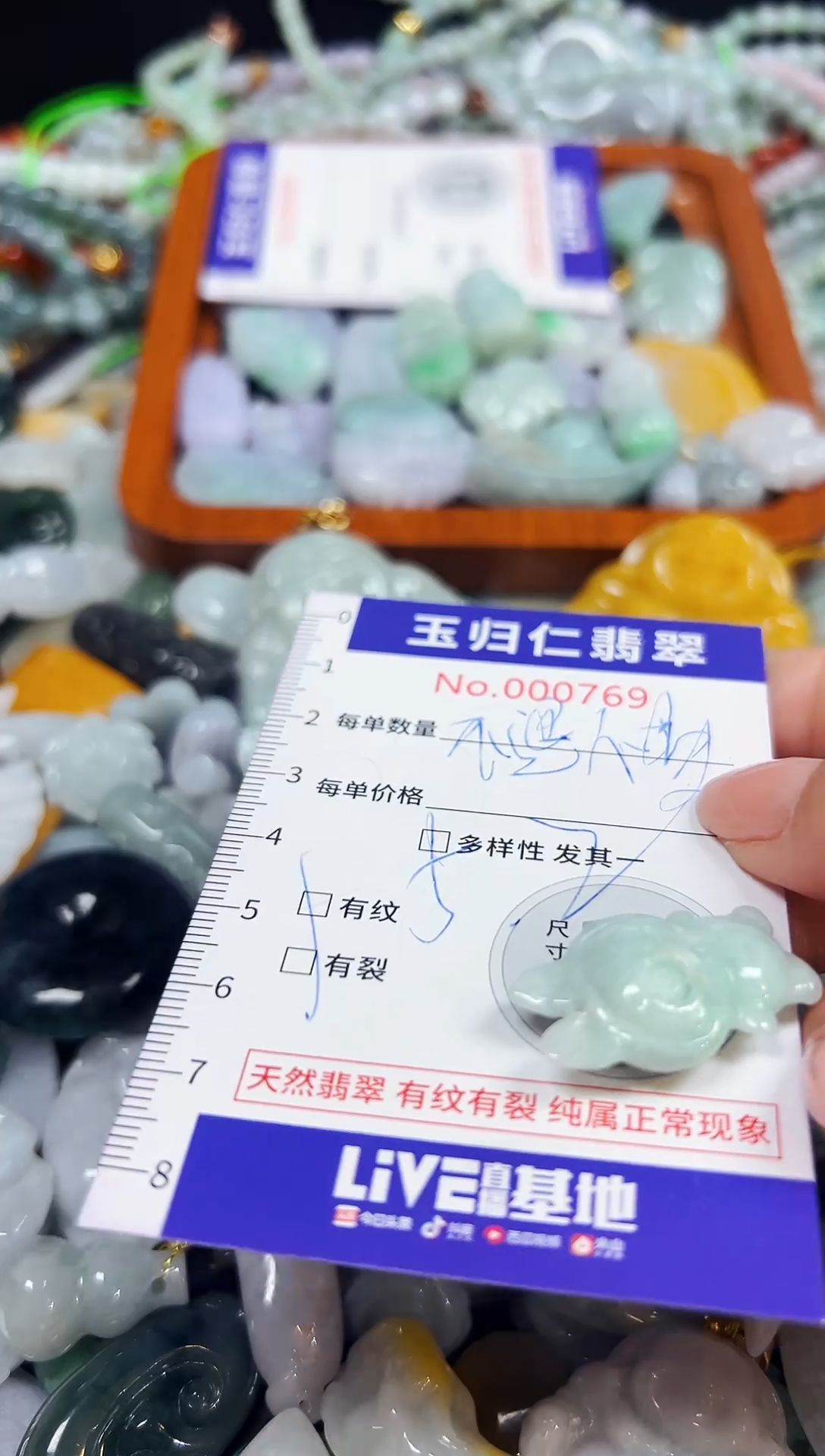 颈饰未镶嵌翡翠1048