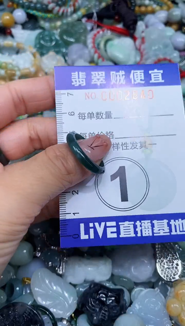 【闪购商品】翡翠未镶嵌颈饰闪购0002840多样性发其一
