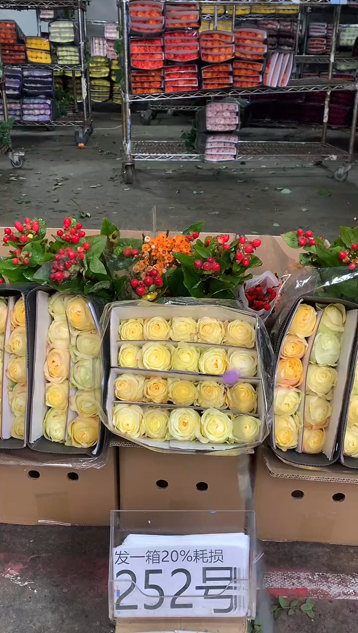 252号♥中通含20%耗损发一箱鲜花